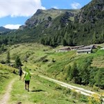 Inmitten sattgrüner Weidewiesen präsentiert sich die Vallmingalm