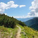 Von immergrünen Latschenkiefern umsäumt, führt der schmale Pfad auf das Schrotthorn