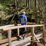 Der Rundwanderweg führt durch schattenverheißenden Wald