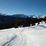 Wenige Meter unterhalb der Freundalm