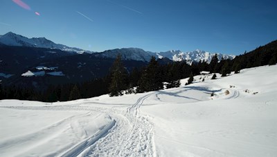 Wenige Meter unterhalb der Freundalm