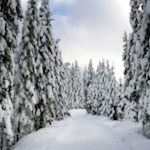 Durch den winterlichen Wald zur Talschlusshütte