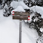 Die Wanderung zur Aschtalm ist gut ausgeschildert