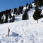 Auf dem anfangs schmalen Urlesteig