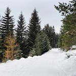 Winterwanderung zur Ackerboden- und zur Ochsenalm