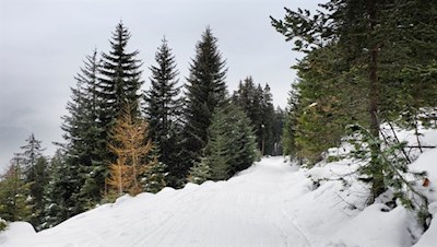 Winterwanderung zur Ackerboden- und zur Ochsenalm