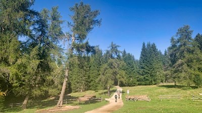 Anche gli appassionati di mountain bike amano visitare la malga Bel Riposo