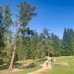 Auch Mountainbiker suchen die Schönrastalm gerne auf