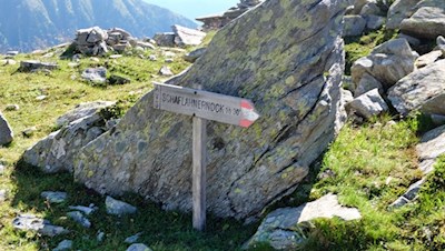 Hinter der Chemnitzer Hütte zweigt der Weg auf den Schaflahnernock ab