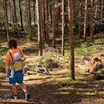 Wandern auf dem Rundweg Bergl