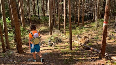 Wandern auf dem Rundweg Bergl