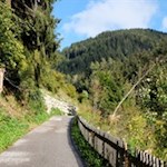 Auf dem Rückweg von Schloss Welsperg folgen wir dem asphaltierten Wanderweg