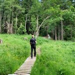 Hike to Malga Maraia