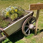 Liebevoller Wegweiser vor der Tschiffernaun Alm