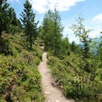 Auf dem Weg Nr. 21 zum Ochsenboden