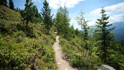 Auf dem Weg Nr. 21 zum Ochsenboden