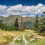 Abstieg von der Kerschbaumeralm ins Ridnauntal