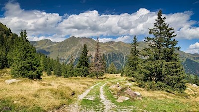 Abstieg von der Kerschbaumeralm ins Ridnauntal
