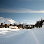 Eine weiße Schneedecke hat sich über die Almwiesen der Kleinfanes gelegt