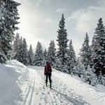 Der Panoramaweg Platschjoch wird von schneebehangenen Nadelbäumen umsäumt