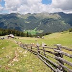 Hinter der Stumpfalm führt der Steig Nr. 47 in Richtung Riepenspitze