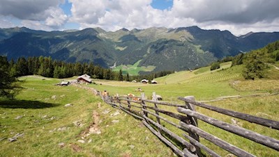 Hinter der Stumpfalm führt der Steig Nr. 47 in Richtung Riepenspitze