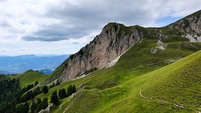 Am-höchsten-Punkt-des-Oberen-Herrensteigs