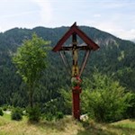 Am Feldkreuz folgt man dem westwärts abzweigenden Weg nach Cians