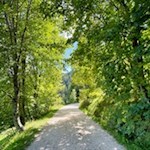 Durch lichten Wald zur Petersberger Leger Alm