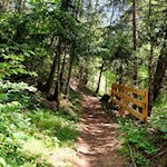 Im Schatten der Bäume zur Hühnerspielhütte