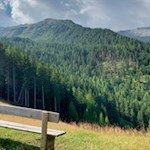 Aussichtsbank unterhalb der Tarscher Alm