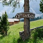 Die Ciampcios Hütte ist in malerische Almwiesen gebettet