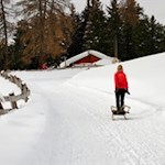 Mit der Rodel zur Gasserhütte auf der Villanderer Alm