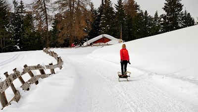 Mit der Rodel zur Gasserhütte auf der Villanderer Alm