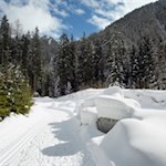 Auf dem Weg zur gemütlichen Enzianhütte