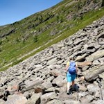 Über die teils steinbeschlagenen Hänge in Richtung Pojenspitz