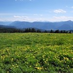 Ausblick von der Vöraner Alm