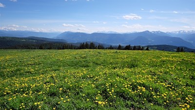 Ausblick von der Vöraner Alm