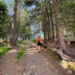 Durch den Wald auf die Rodenecker Alm