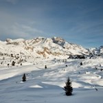 Vor der Kulisse hochaufragender Berge führt der Weg durch sanft gewellte Almwiesen