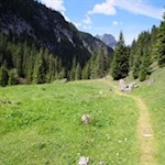 Durch Wald und malerische Lichtungen zur Stolla Alm 