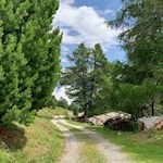Durch lauschigen Wald zur Weizgruberalm