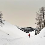 Im Schein der blassen Wintersonne auf das Limojoch