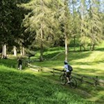 Flowige Trails durch Wiesen und Wälder