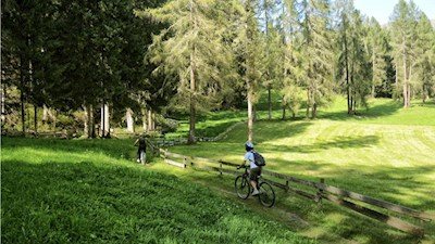 Flowige Trails durch Wiesen und Wälder