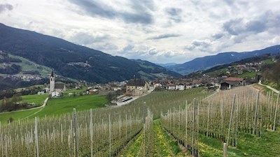 Feldthurns im Eisacktal