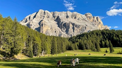 Unterwegs öffnen sich malerische Ausblicke auf die Heiligkreuzkofelgruppe