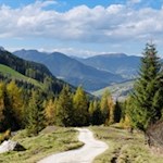 Durch den malerischen Wald in Richtung Antoniusjoch