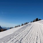 Auf dem präparierten Winterwanderweg in Richtung Puflatsch