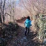 Durch Buschwerk zurück nach Ried